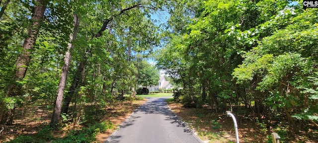 view of road