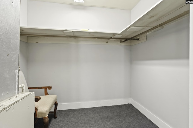 6560 Voorhees Rd, Denmark, SC 29042 - walk in closet with dark carpet