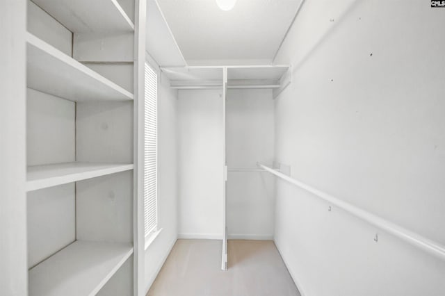 view of spacious closet