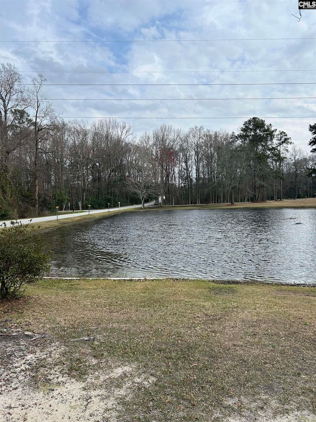 view of water feature