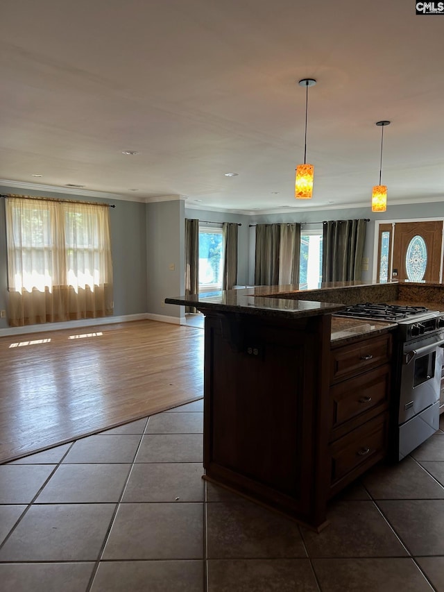 kitchen with hardwood / wood-style floors, dark stone counters, decorative light fixtures, dark brown cabinetry, and high end range