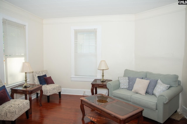 living room featuring dark wood-type flooring, crown molding, and plenty of natural light