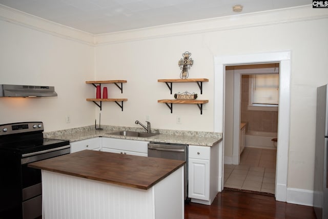 kitchen with white cabinets, exhaust hood, ornamental molding, stainless steel range with electric stovetop, and sink