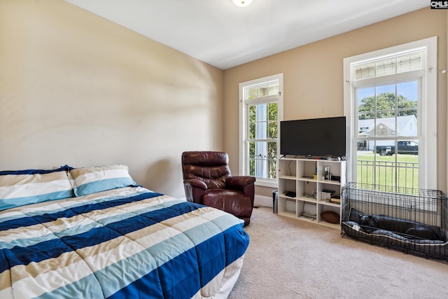 bedroom featuring multiple windows and carpet floors