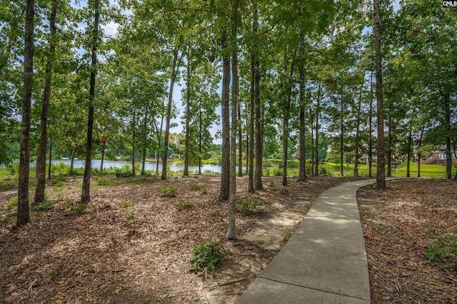 view of property's community with a water view