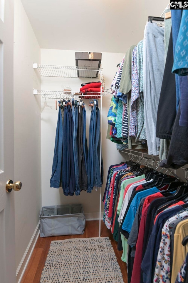 spacious closet featuring wood-type flooring