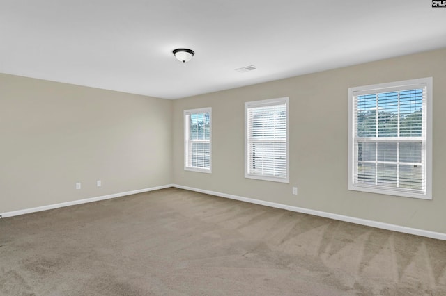 empty room featuring carpet flooring and a wealth of natural light