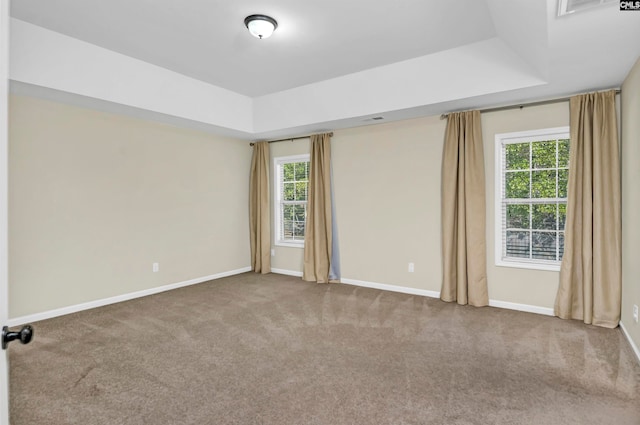 carpeted empty room with a tray ceiling and plenty of natural light