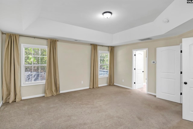 empty room with a wealth of natural light, light carpet, and a raised ceiling