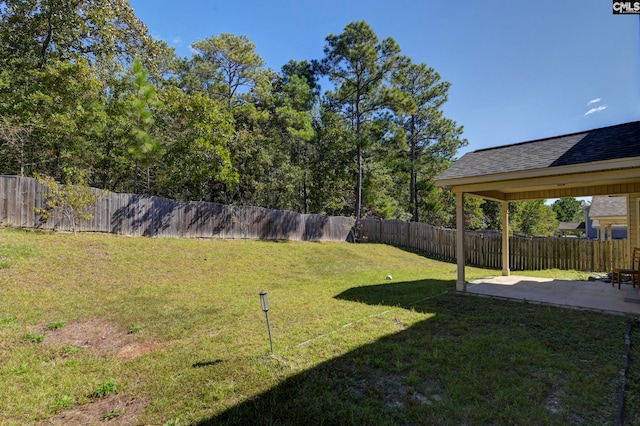 view of yard featuring a patio area