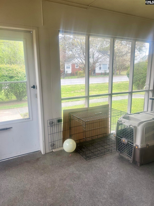 sunroom / solarium with plenty of natural light