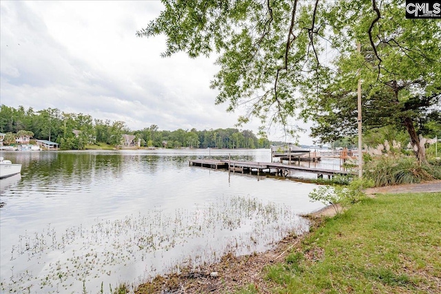 dock area with a water view