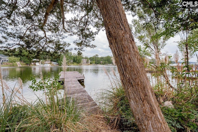 view of dock featuring a water view