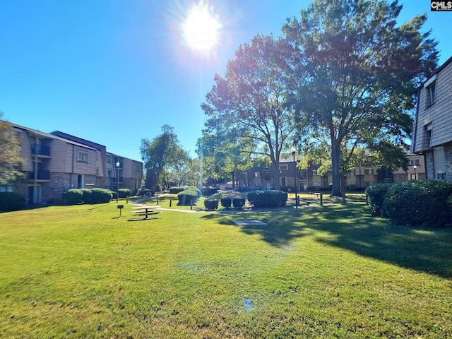 view of home's community featuring a yard