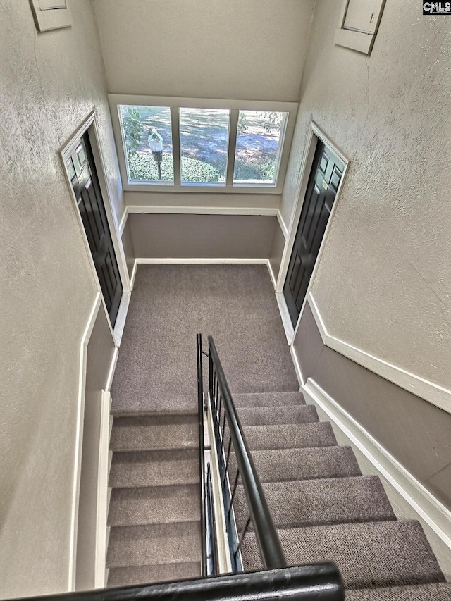 staircase with carpet floors