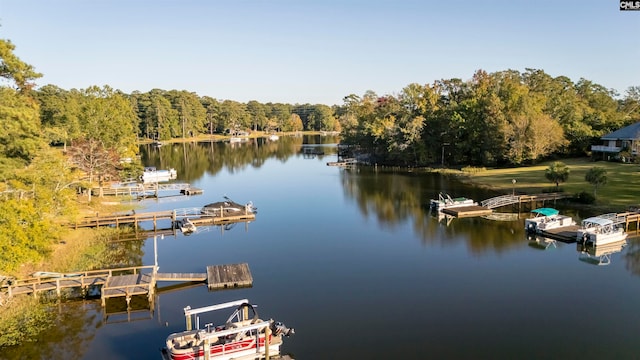 property view of water with a dock