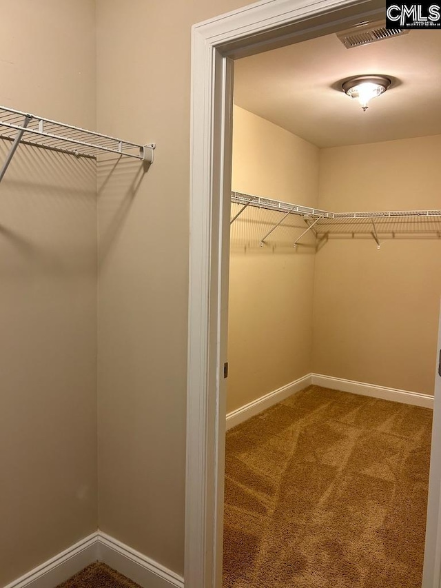 walk in closet with carpet floors