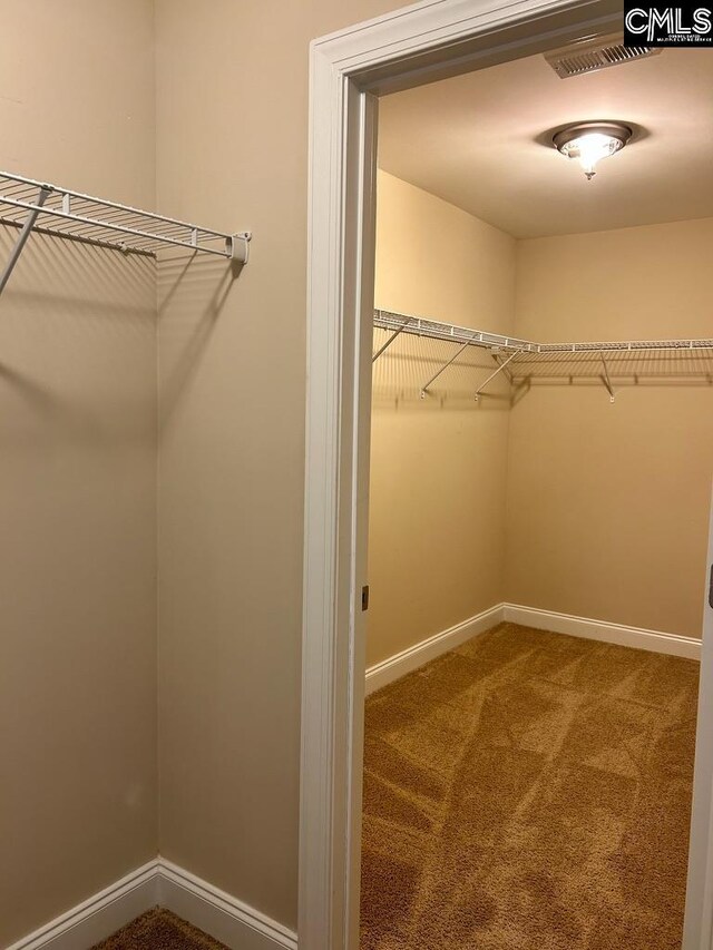 60 Fork Branch Ct, Irmo, SC 29063 - spacious closet featuring visible vents and carpet floors