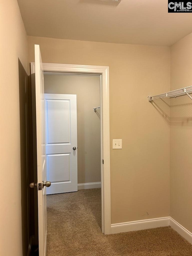 spacious closet with carpet