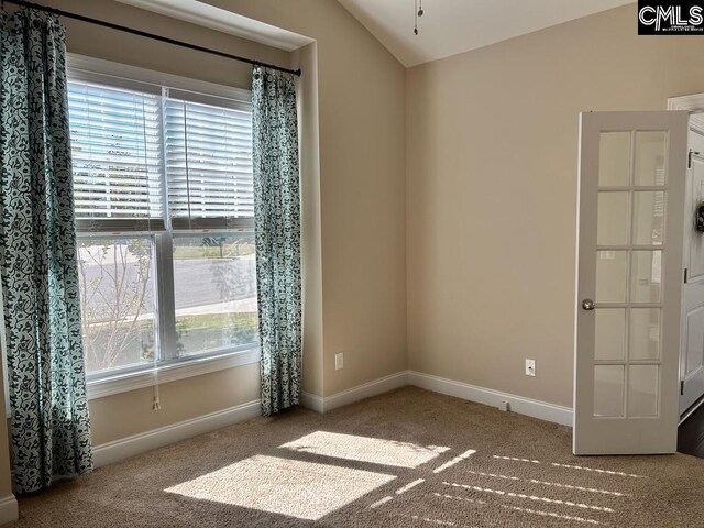 60 Fork Branch Ct, Irmo, SC 29063 - carpeted empty room with plenty of natural light, lofted ceiling, and baseboards