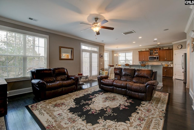 living room with ceiling fan with notable chandelier, dark hardwood / wood-style flooring, and crown molding