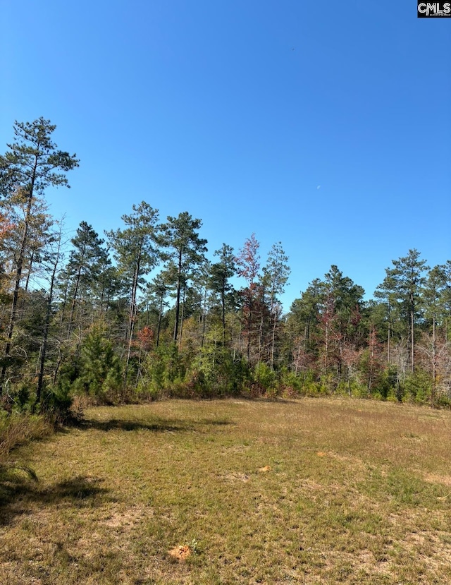 203 Legend Dr, Saluda SC, 29138 land for sale