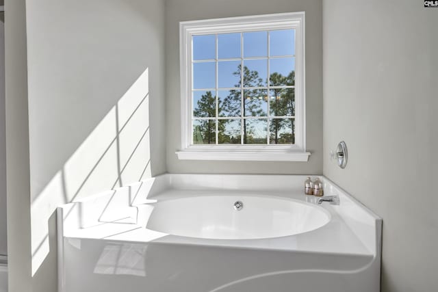 full bathroom featuring a bath