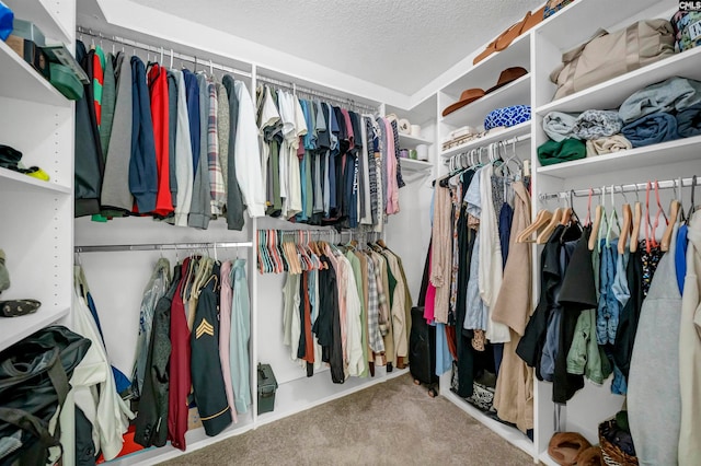 spacious closet featuring light carpet