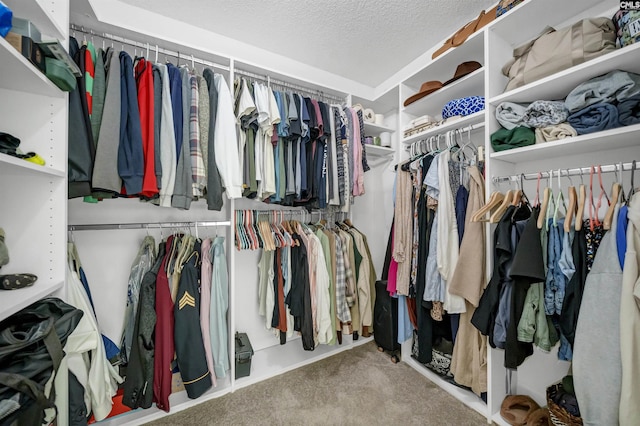 spacious closet with carpet floors