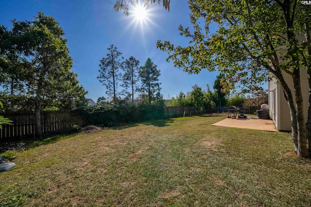 view of yard featuring a patio area