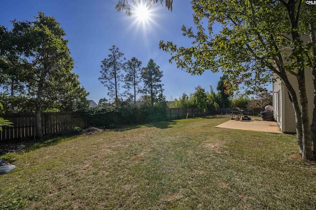 view of yard with a patio and a fenced backyard