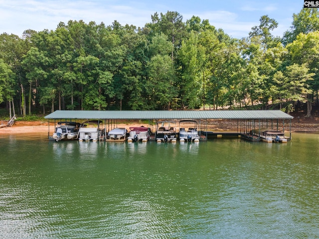 dock area with a water view