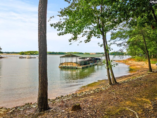 dock area with a water view