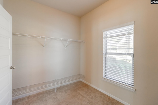 spacious closet with light colored carpet