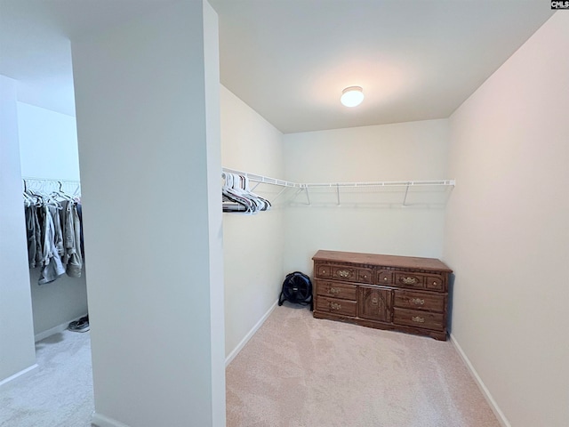 spacious closet featuring light colored carpet