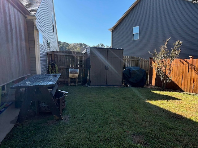 view of yard with a storage unit