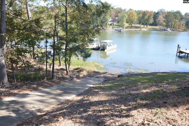 water view featuring a boat dock