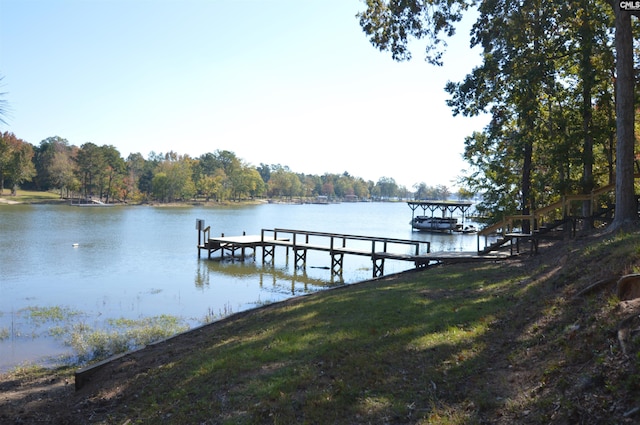 dock area with a water view