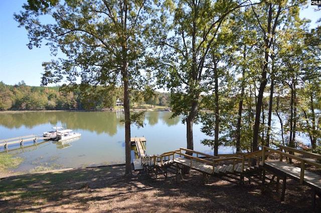 dock area with a water view