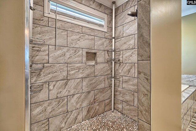 224 Robin Hood Rd, Elgin, SC 29045 - walk in closet with visible vents