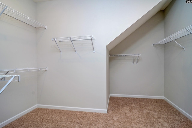 walk in closet with carpet