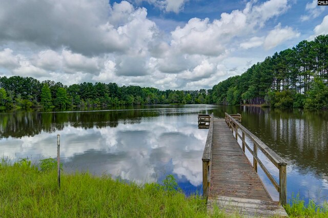 view of dock with a water view