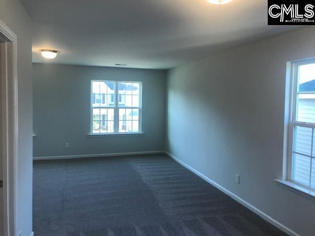 spare room with a healthy amount of sunlight and dark colored carpet