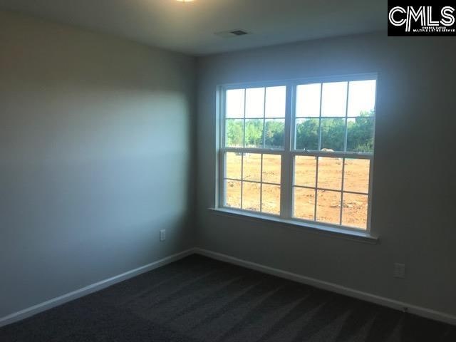 spare room featuring a healthy amount of sunlight and dark carpet