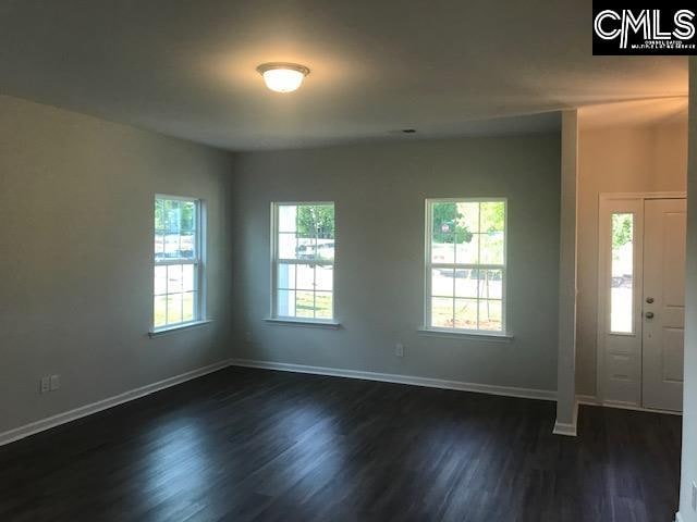 foyer entrance featuring dark hardwood / wood-style floors