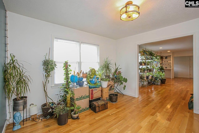 miscellaneous room with light wood-type flooring and a textured ceiling