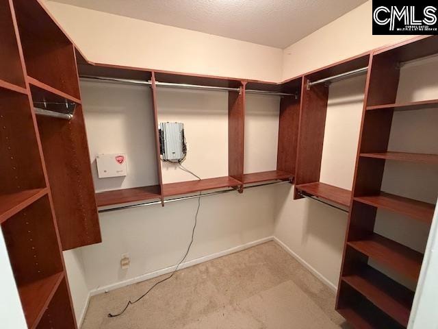 spacious closet with light colored carpet