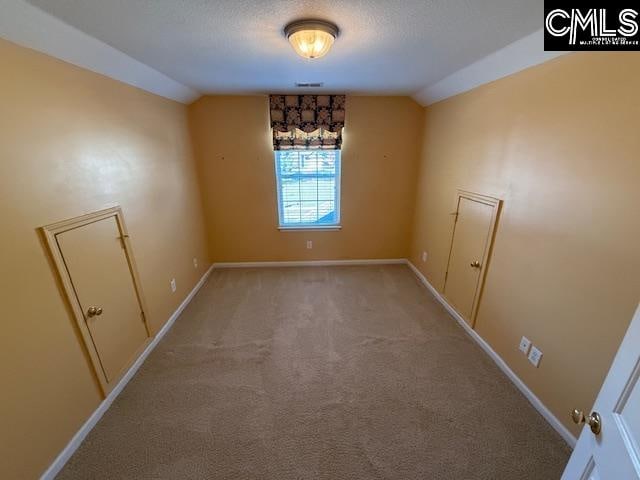 empty room with light carpet, a textured ceiling, and vaulted ceiling