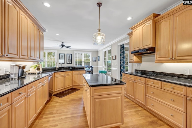 4 High Park Ct, Elgin, SC 29045 - kitchen with light brown cabinetry, under cabinet range hood, light wood-style floors, black electric cooktop, and ornamental molding