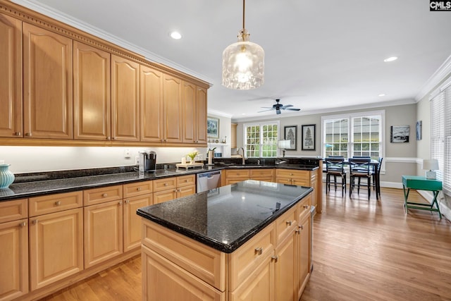 4 High Park Ct, Elgin, SC 29045 - kitchen featuring stainless steel dishwasher, a sink, ornamental molding, light wood-type flooring, and ceiling fan